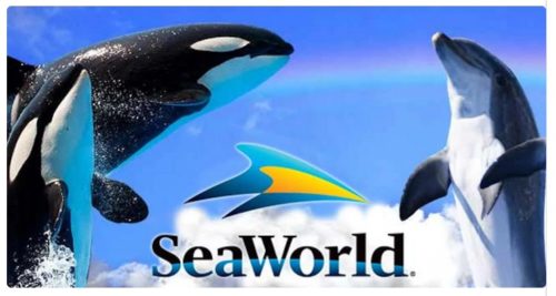 Free Seaworld Teacher Card | MyFreeProductSamples.com