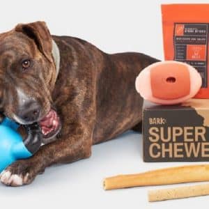 Super Chewer: FREE Extra Month + Free Shipping