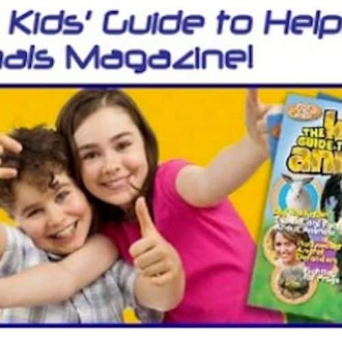 FREE Kids' Guide to Helping Animals Magazine + Stickers