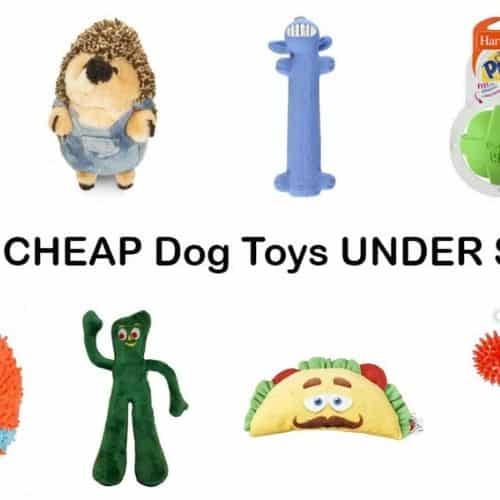 Amazon 50 Dog Toys UNDER 5 On Amazon Prices Start At ONLY 1.69