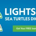 Free Lights Out! Sea Turtles Dig the Dark Bumper Sticker