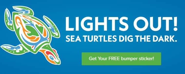 Free Lights Out! Sea Turtles Dig the Dark Bumper Sticker