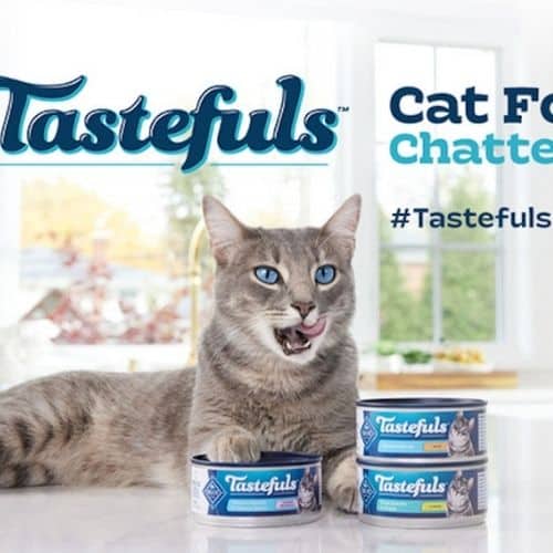 FREE Blue Buffalo Tastefuls Cat Food Chatterbox