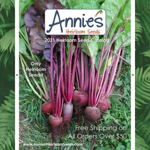 FREE Annies Heirloom Seeds Catalog
