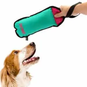 Chew Toy For Dogs With Squeaker ONLY $3