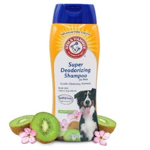 Arm & Hammer Deodorizing Dog Shampoo ONLY $2.22 at Amazon.