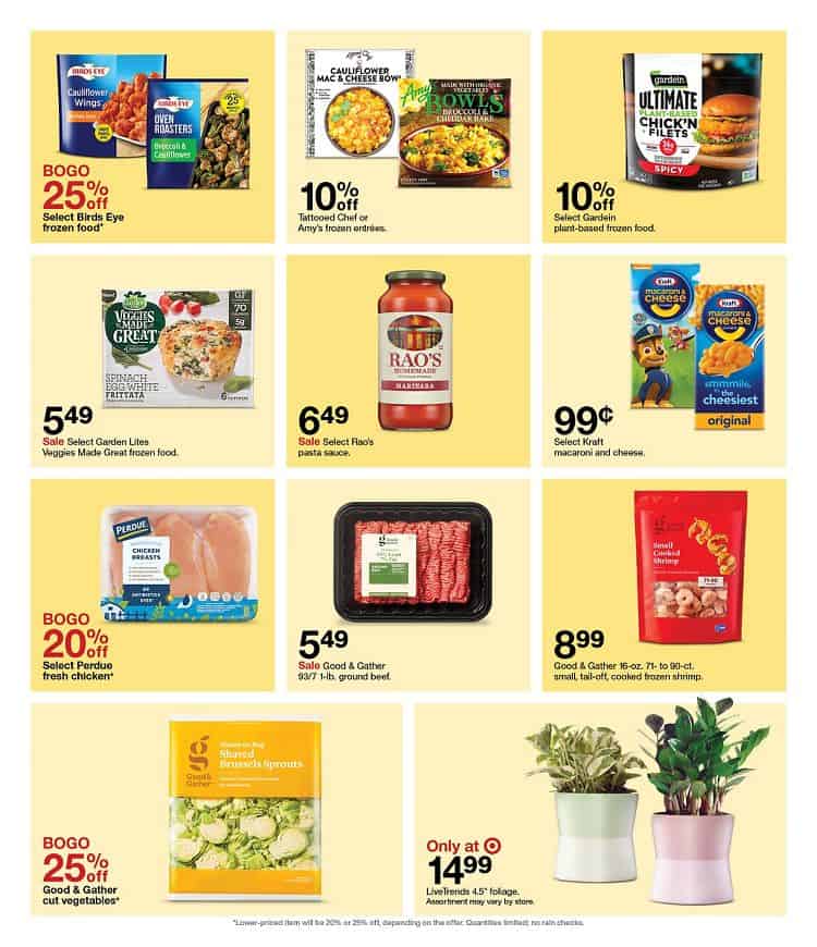 Target-Weekly-Ad-Preview-8th-Jan-Page-21