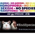 Free PETA Animal Rights Bookmarks