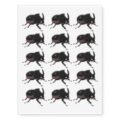 FREE Coconut Rhinoceros Beetle Temporary Tattoo