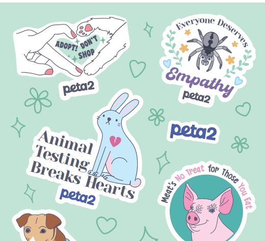 Free-animal-rights-stickers