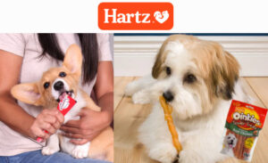 Free-Hartz-Dog-Treat-sample