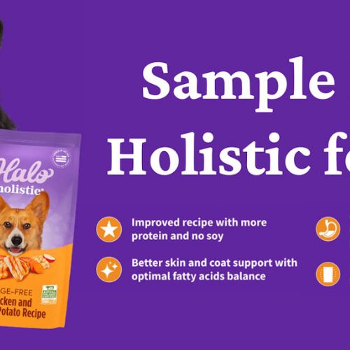 FREE Sample of Halo Holistic Dog Food