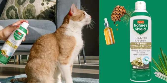 Curated visual reference: Visual Reference: Free Hartz Nature S Shield Flea Tick Cat Spray