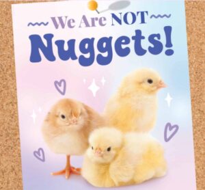 Free-We-Are-Not-Nuggets-Poster-Stickers