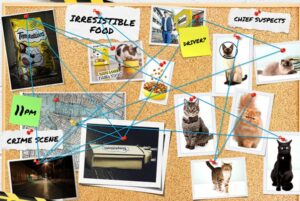 Temptations-Catch-a-Cat-Burglar-Sweepstakes