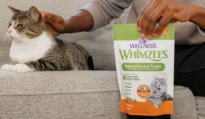 Free-Sample-of-Wellness-Whimzees-Cat-Treats