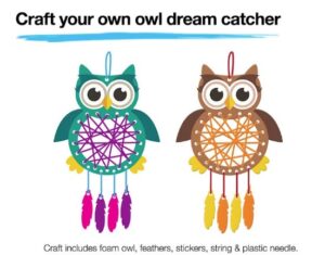 Free-Create-Your-Own-Owl-Dream-Catcher-Craft-Kit-at-JCPenney