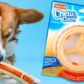 FREE Hartz Chew ‘n Clean Ring Dog Toy