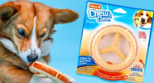 Free-Hartz-Chew-n-Clean-Ring-Dog-Toy