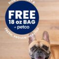 Free-Bag-of-Just-Food-For-Dogs-Dog-Food-After-Rebate