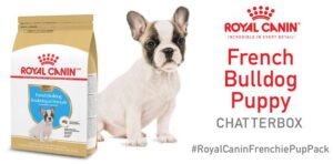 Free-Royal-Canin-French-Bulldog-Puppy-Chatterbox-Kit