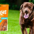 FREE Sample of Hartz Oinkies Chickentastic Tender Twirls + Collagen Dog Chews!