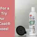 Free Sample of Hartz True Coat Dog Shampoo