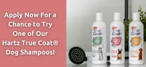 FREE Sample of Hartz True Coat Dog Shampoo