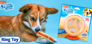 Free Hartz Chew n Clean Ring Dog Toy
