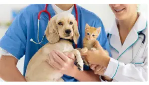 Free Vet Exam at Petco Vetco Total Care