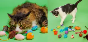 Free Hartz Cattraction Silver Vine & Catnip Cat Toys