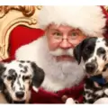 FREE Photo with Santa at PetSmart – This Weekend