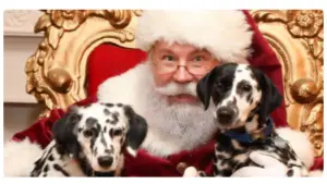FREE Photo with Santa, Giveaways & More at Bass Pro Shops & Cabela's