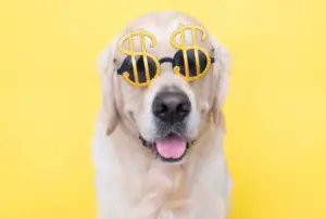 Daily Paws Unleash the Loot $50,000 Sweepstakes