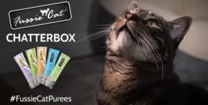 Free Fussie Cat Purées Chatterbox Kit