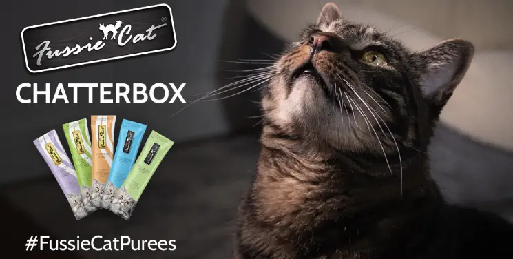 Free Fussie Cat Purées Chatterbox Kit