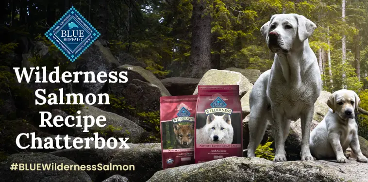 Free Blue Buffalo Wilderness Salmon Recipe Chatterbox Kit