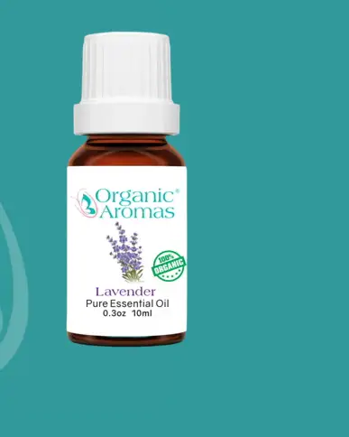 Free Sample of Organic Aromas Lavender Essential Oil