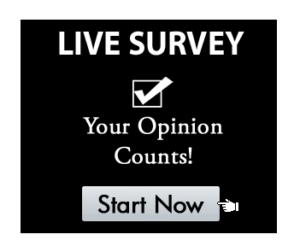 SurveySpinner Router