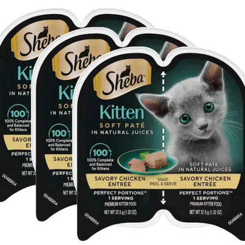 FREE Sample of Sheba Perfect Portions Kitten Food