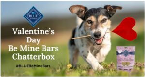 FREE Blue Buffalo Valentine Day Be Mine Bars Chatterbox Kit