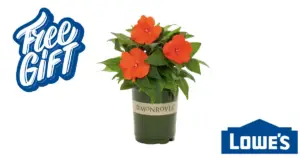 FREE Spring Flower Giveaway at Lowe's on May 9th.