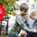 FREE Tree from Claritin.