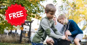 FREE Tree from Claritin.