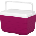 Sun Squad 10-Quart Hard Sided Cooler ONLY $7 at Target.