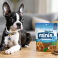 FREE Blue Buffalo Nudges & True Chews Minis Chatterbox Kit.