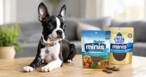 FREE Blue Buffalo Nudges & True Chews Minis Chatterbox Kit.