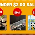 Hot Deals at Amazon Haul Starting as Low as $1.00.