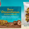 FREE Dragon Herbs Sample Pack + FREE Shipping.