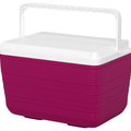 Sun Squad 10-Quart Hard Sided Cooler ONLY $5 at Target (Reg $10).